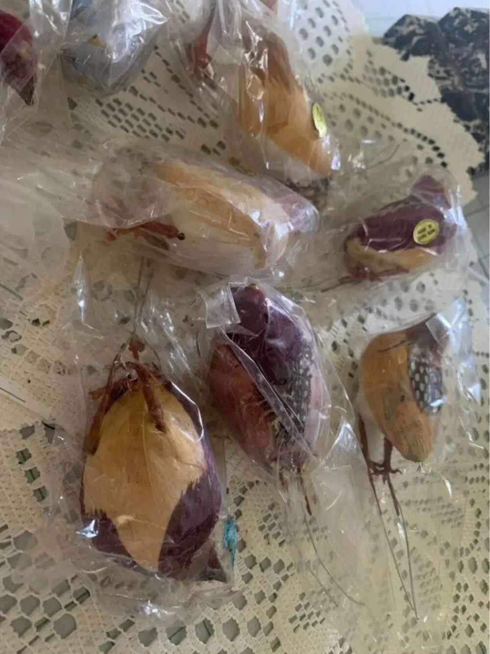 Vintage Feathered Birds Set of 12 Hong Kong 3